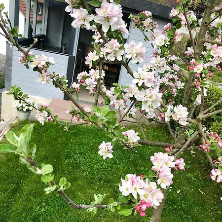 Apartment Seerose *